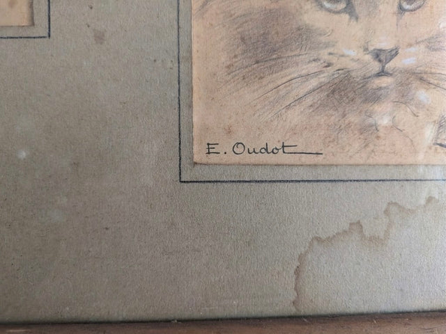 Grand cadre aux deux dessins de chats Angoras – Édouard Evano (Eveno) – Fin XIXe / Début XXe siècle