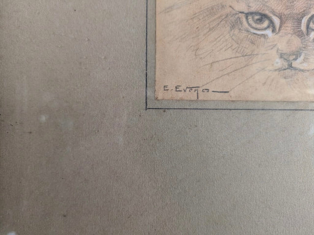 Grand cadre aux deux dessins de chats Angoras – Édouard Evano (Eveno) – Fin XIXe / Début XXe siècle